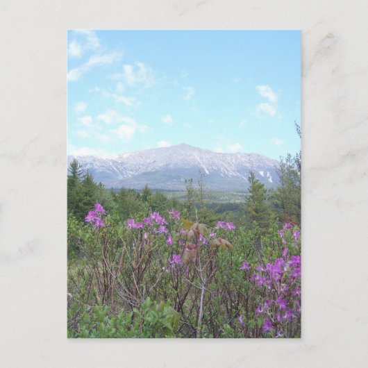 花と山 ポストカード (正面)