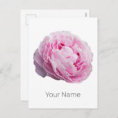 花と庭園愛好家のための牡丹の花バラ シーズンポストカード (正面/裏面)