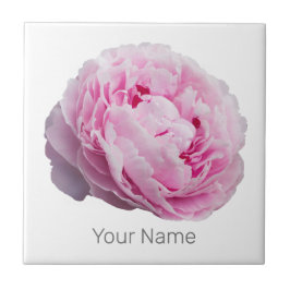 花と庭園愛好家のための牡丹の花バラ タイル