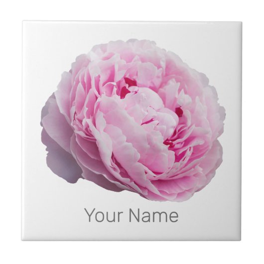 花と庭園愛好家のための牡丹の花バラ タイル (正面)