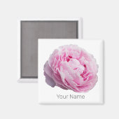 花と庭園愛好家のための牡丹の花バラ マグネット (正面/裏面)