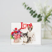 花と愛 ポストカード (スタンド正面)