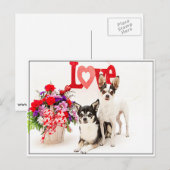 花と愛 ポストカード (正面/裏面)