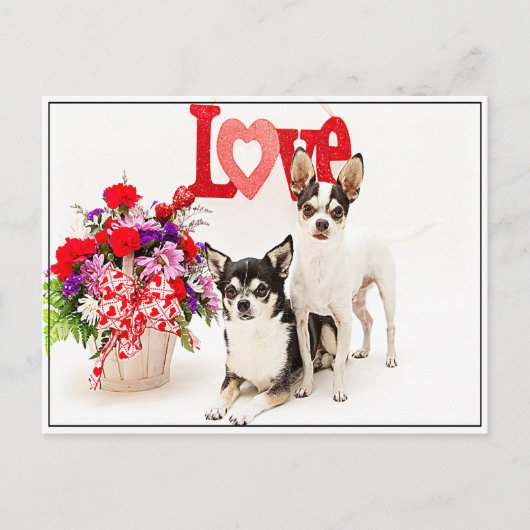 花と愛 ポストカード (正面)