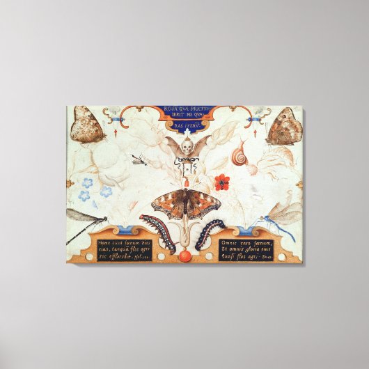 花と昆虫のジプチチ, 1591 キャンバスプリント (正面)