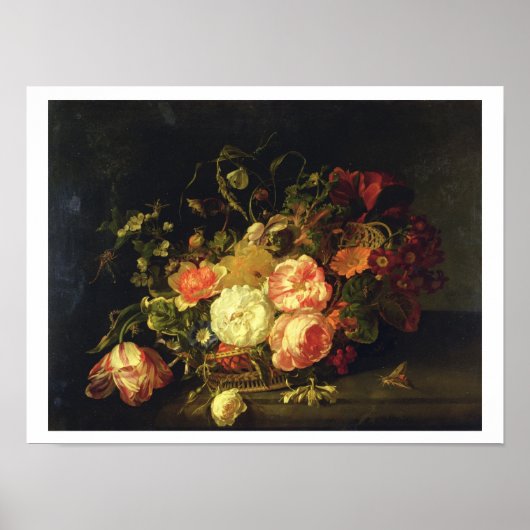 花と昆虫， 1711 (油パネル) ポスター (正面)