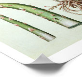 花と果実の一般的なアスパラガス、「ホー」 ポスター (角)