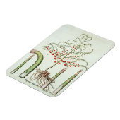 花と果実の一般的なアスパラガス、「ホー」 マグネット (左側)