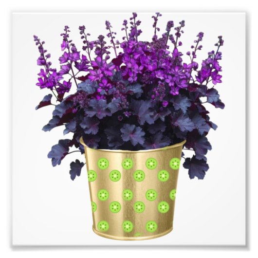 花と植物の美しい» 鍵ボーカブ フォトプリント            (正面)