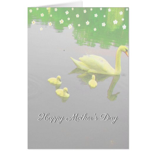 花と白鳥の湖の母の日 (正面)