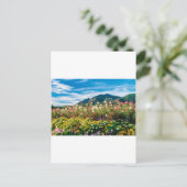 花と花 ポストカード (スタンド正面)