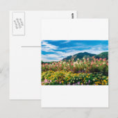 花と花 ポストカード (正面/裏面)