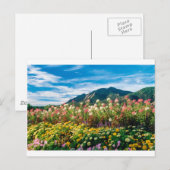 花と花 ポストカード (正面/裏面)