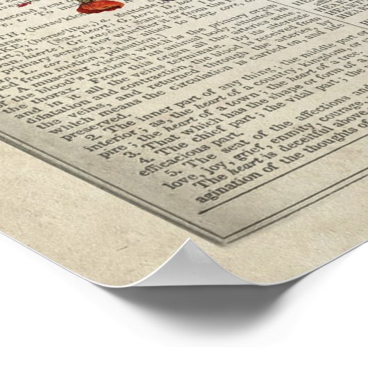 花と蝶と人間ハートの解剖学 ポスター (角)