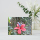 花と蝶のフランシュcomte ポストカード (スタンド正面)