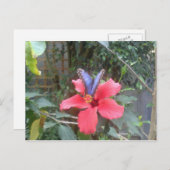 花と蝶のフランシュcomte ポストカード (正面/裏面)