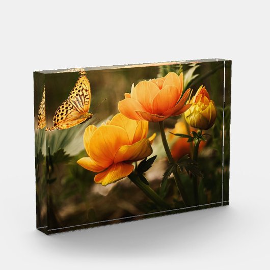 花と蝶 フォトブロック (左)