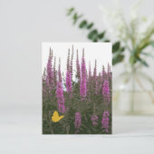 花と蝶 ポストカード (スタンド正面)