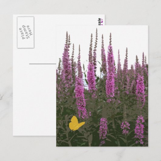 花と蝶 ポストカード (正面/裏面)