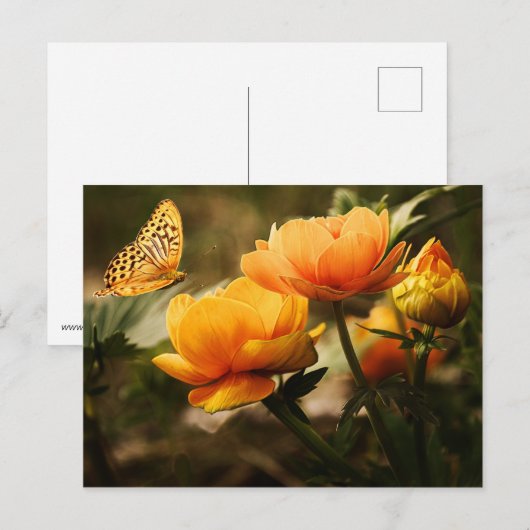 花と蝶 ポストカード (正面/裏面)