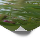 花と雑草ポスター ポスター (角)