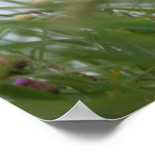 花と雑草ポスター ポスター (角)