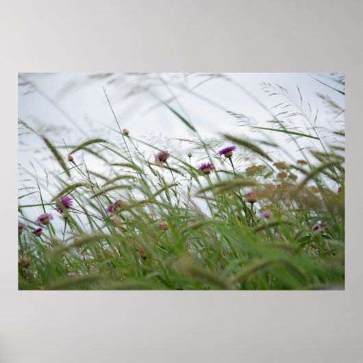 花と雑草ポスター ポスター (正面)