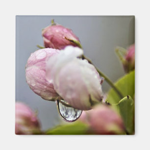 花と雨滴 マグネット