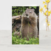 花にくるくるまれる地豚 カード (黄色い花)