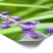 花に乗ったトンボ ポスター (角)