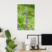 花に乗ったトンボ ポスター (ホームオフィス)