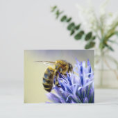 花に乗る ポストカード (スタンド正面)