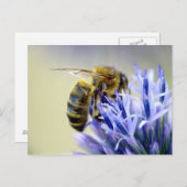 花に乗る ポストカード (正面/裏面)