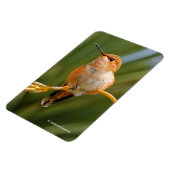 花に刺されたかわいいハチドリ マグネット (左側)