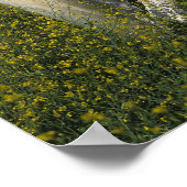 花に咲くアラブの馬 ポスター (角)