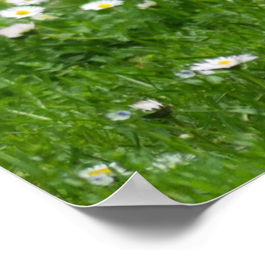 花に咲くピグミー矮小山羊 ポスター (角)