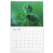 花に咲く美しい自然の水滴を写真 カレンダー (3月 2022)