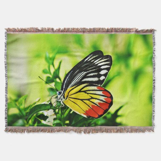 花に咲く美しい蝶 スローブランケット (正面)