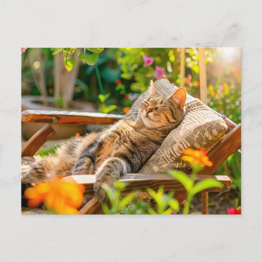 花に囲まれた庭の椅子で眠る猫 シーズンポストカード (正面)