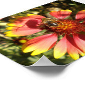 花に座るミツバチ ポスター (角)