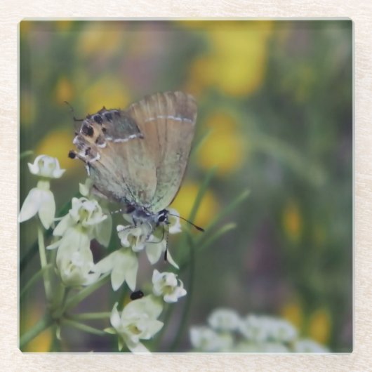 花に止まるセセリチョウ ガラスコースター (正面)
