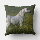 花に立っているアラビアの馬 クッション (裏面)