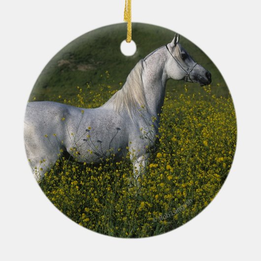 花に立っているアラビアの馬 セラミックオーナメント (裏面)
