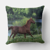 花に立っている純血種の馬 クッション (裏面)