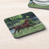 花に立っている純血種の馬 コースター (左側)