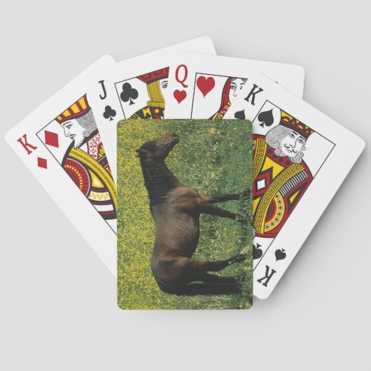 花に立っている野生のムスタングの馬 トランプ (裏面)