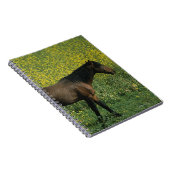 花に立っている野生のムスタングの馬 ノートブック (右側)