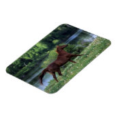花に立つサラブレッドの馬 マグネット (左側)