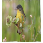 花に覆われたオスの金魚 シャワーカーテン (正面)