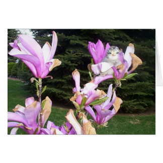 花のかわいい鶏